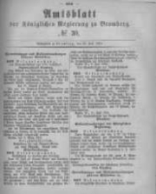 Amtsblatt der K&ouml;niglichen Preussischen Regierung zu Bromberg. 1881.07.29 No.30