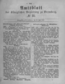 Amtsblatt der Königlichen Preussischen Regierung zu Bromberg. 1882.06.23 No.25