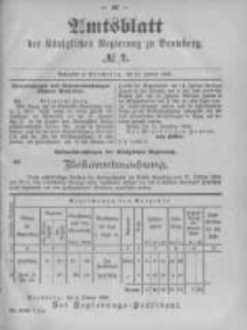 Amtsblatt der Königlichen Preussischen Regierung zu Bromberg. 1895.01.10 No.2
