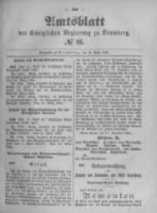 Amtsblatt der Königlichen Preussischen Regierung zu Bromberg. 1895.04.18 No.16