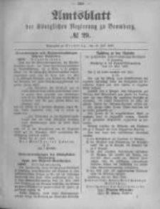 Amtsblatt der Königlichen Preussischen Regierung zu Bromberg. 1895.07.18 No.29