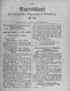 Amtsblatt der Königlichen Preussischen Regierung zu Bromberg. 1895.08.22 No.34