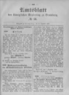 Amtsblatt der Königlichen Preussischen Regierung zu Bromberg. 1895.12.19 No.51