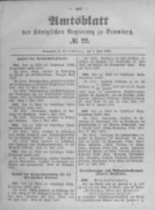 Amtsblatt der Königlichen Preussischen Regierung zu Bromberg. 1893.06.01 No.22