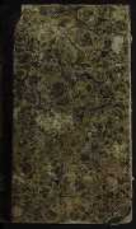 Kościoł Święto-Michalski w Wilnie: obraz historyczny z pierwszej połowy XVII wieku. T. 2