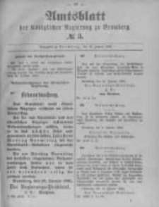 Amtsblatt der Königlichen Preussischen Regierung zu Bromberg. 1894.01.18 No.3