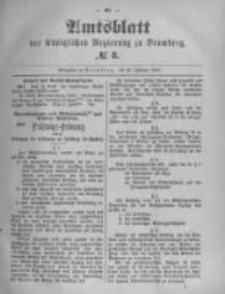 Amtsblatt der Königlichen Preussischen Regierung zu Bromberg. 1896.02.20 No.8