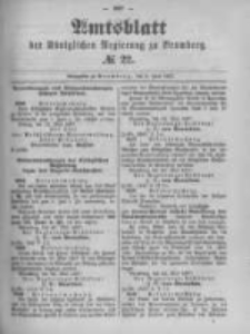 Amtsblatt der Königlichen Preussischen Regierung zu Bromberg. 1897.06.03 No.22