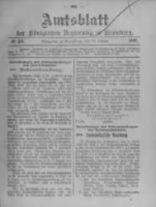 Amtsblatt der Königlichen Preussischen Regierung zu Bromberg. 1902.10.16 No.42