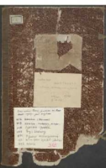 Archiwum Polskiego Towarzystwa Ludoznawczego: Teka nr 1 Mazowsze, Warszawa, Łowicz, Czersk