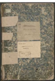 Archiwum Polskiego Towarzystwa Ludoznawczego: Teka nr 9 Poznańskie