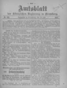 Amtsblatt der K&ouml;niglichen Preussischen Regierung zu Bromberg. 1905.07.20 No.29
