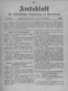 Amtsblatt der Königlichen Preussischen Regierung zu Bromberg. 1905.09.28 No.39