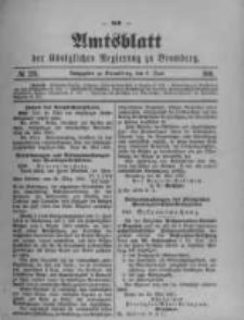 Amtsblatt der Königlichen Preussischen Regierung zu Bromberg. 1901.06.06 No.23