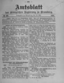 Amtsblatt der K&ouml;niglichen Preussischen Regierung zu Bromberg. 1910.05.19 No.20