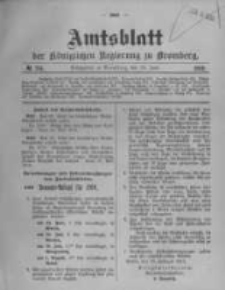 Amtsblatt der K&ouml;niglichen Preussischen Regierung zu Bromberg. 1910.06.16 No.24