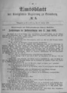 Amtsblatt der Königlichen Preussischen Regierung zu Bromberg. 1899.01.19 No.3