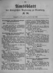Amtsblatt der Königlichen Preussischen Regierung zu Bromberg. 1899.06.29 No.26