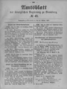 Amtsblatt der Königlichen Preussischen Regierung zu Bromberg. 1899.10.19 No.42