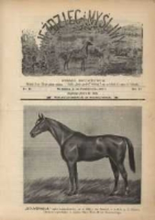 Jeździec i Myśliwy 1901 Nr19
