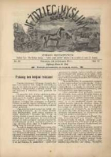Jeździec i Myśliwy 1901 Nr20