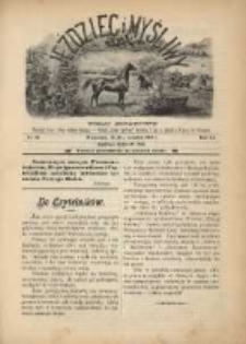 Jeździec i Myśliwy 1901 Nr24