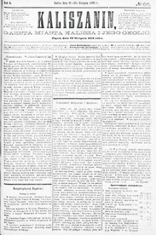 Kaliszanin: gazeta miasta Kalisza i jego okolic 1878.08.23 Nr66