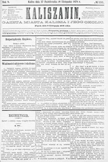 Kaliszanin: gazeta miasta Kalisza i jego okolic 1878.11.08 Nr88