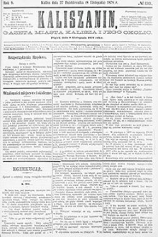 Kaliszanin: gazeta miasta Kalisza i jego okolic 1878.11.08 Nr88
