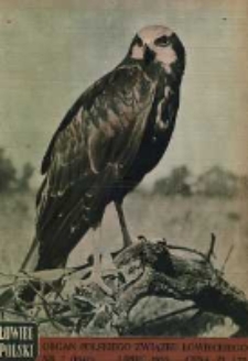 Łowiec Polski 1955 Nr7