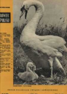 Łowiec Polski 1958 Nr13