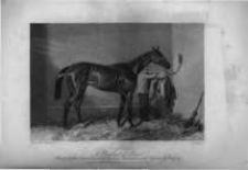 The Farmer's Magazine and Monthly Journal of the Agricultural Interest. 1853 Vol.3 No.6