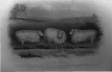 The Farmer's Magazine and Monthly Journal of the Agricultural Interest. 1853 Vol.4 No.3