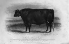 The Farmer's Magazine and Monthly Journal of the Agricultural Interest. 1853 Vol.3 No.1