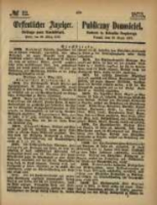 Oeffentlicher Anzeiger. 1873.03.20 Nro.12