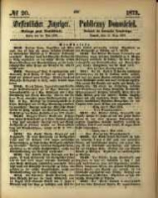 Oeffentlicher Anzeiger. 1873.05.15 Nro.20