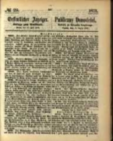 Oeffentlicher Anzeiger. 1873.07.17 Nro.29