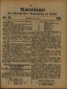 Amtsblatt der Königlichen Regierung zu Posen. 1893.07.25 Nro.30