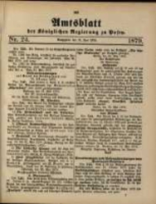 Amtsblatt der Königlichen Regierung zu Posen. 1879.06.10 Nro.24