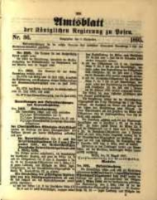 Amtsblatt der Königlichen Regierung zu Posen. 1895.09.03 Nro.36