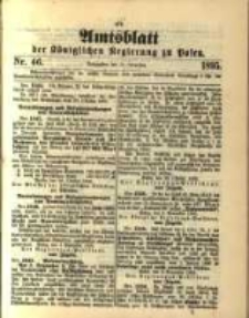 Amtsblatt der Königlichen Regierung zu Posen. 1895.11.12 Nro.46