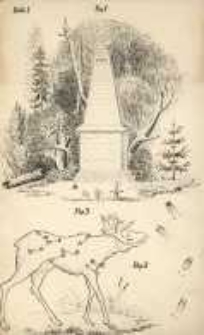 Tablice do Nauki łowiectwa - osobne odbicie na kartonie