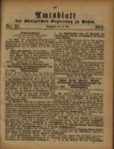 Amtsblatt der Königlichen Regierung zu Posen. 1881.05.10 Nro.19