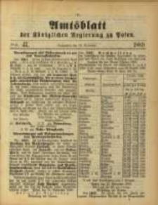 Amtsblatt der Königlichen Regierung zu Posen. 1889.11.19 Nro.47