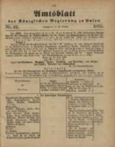 Amtsblatt der Königlichen Regierung zu Posen. 1885.10.20 Nro.42