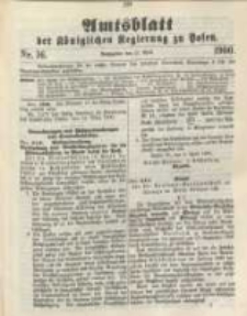 Amtsblatt der Königlichen Regierung zu Posen. 1900.04.17 Nro.16