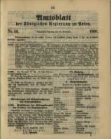Amtsblatt der Königlichen Regierung zu Posen. 1901.11.12 Nro.46