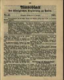 Amtsblatt der Königlichen Regierung zu Posen. 1901.11.19 Nro.47