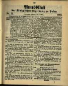 Amtsblatt der Königlichen Regierung zu Posen. 1903.03.31 Nro.13