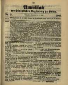 Amtsblatt der Königlichen Regierung zu Posen. 1903.06.16 Nro.24